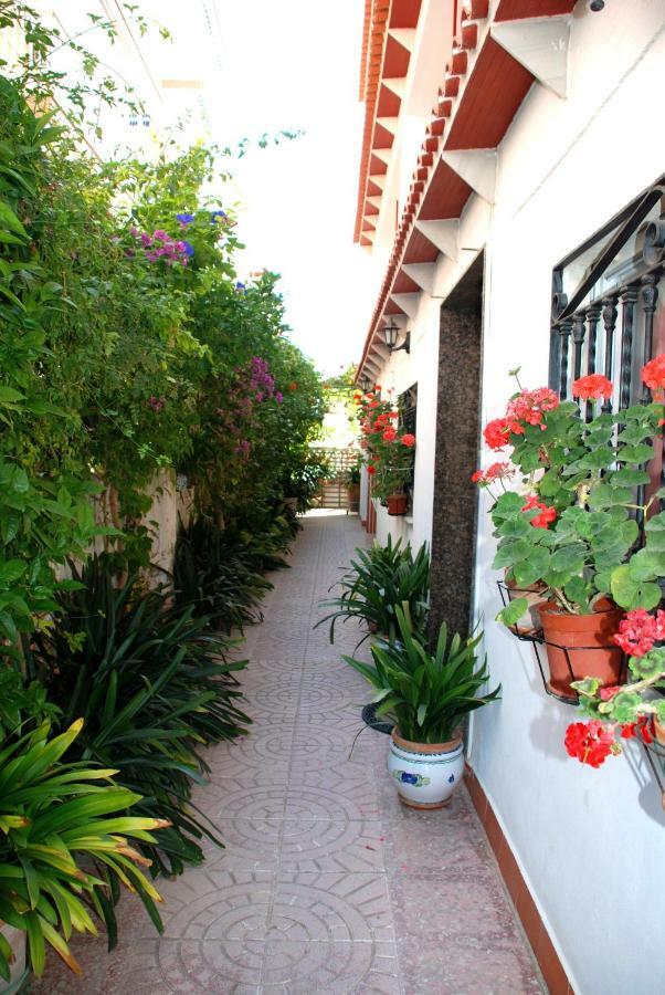 Apartamentos Inter Gandia Playa Экстерьер фото